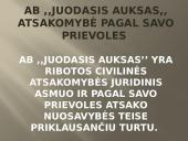 Verslo planas: prekyba naftos produktais "Juodasis Auksas" 6 puslapis