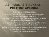 Verslo planas: prekyba naftos produktais "Juodasis Auksas" 7 puslapis