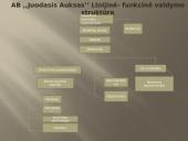 Verslo planas: prekyba naftos produktais "Juodasis Auksas" 9 puslapis