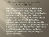 Verslo planas: prekyba naftos produktais "Juodasis Auksas" 10 puslapis