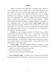 Dalykinio bendravimo etiketas, įvaizdis ir karjera 3 puslapis