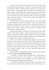 Dalykinio bendravimo etiketas, įvaizdis ir karjera 6 puslapis