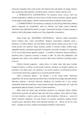 Dalykinio bendravimo etiketas, įvaizdis ir karjera 7 puslapis