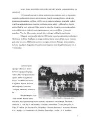 Lauko teniso ištakos Lietuvoje 7 puslapis