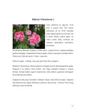 Medingos gėlės 11 puslapis