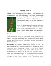 Medingos gėlės 13 puslapis