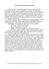 Vadovo veiklos valdant pokyčius analizė 2 puslapis