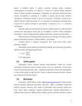 Akcijų prekybos apimties elastingumo kainų atžvilgiu tyrimas 3 puslapis