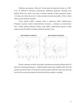 Akcijų prekybos apimties elastingumo kainų atžvilgiu tyrimas 5 puslapis