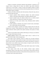 Rangos sutartis 14 puslapis