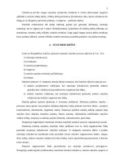 Rangos sutartis 4 puslapis