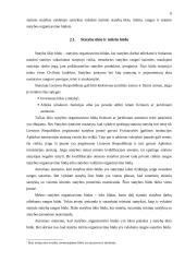 Rangos sutartis 5 puslapis