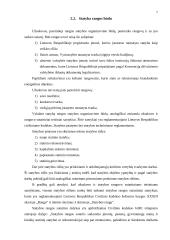 Rangos sutartis 6 puslapis