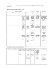 Medienos biologinių kenkėjų atpažinimas 2 puslapis