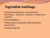 Danties minkštimas — pulpa 11 puslapis