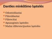 Danties minkštimas — pulpa 12 puslapis