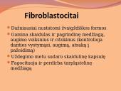 Danties minkštimas — pulpa 16 puslapis