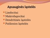 Danties minkštimas — pulpa 17 puslapis