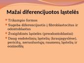 Danties minkštimas — pulpa 18 puslapis