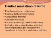 Danties minkštimas — pulpa 19 puslapis