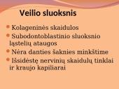 Danties minkštimas — pulpa 5 puslapis