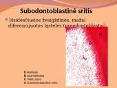 Danties minkštimas — pulpa 7 puslapis