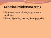 Danties minkštimas — pulpa 8 puslapis