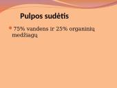 Danties minkštimas — pulpa 9 puslapis