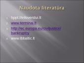 Fizinių asmenų bankrotas 13 puslapis