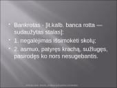 Fizinių asmenų bankrotas 3 puslapis