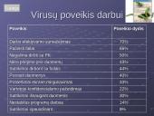 Kompiuterių virusai. Kas tai? 5 puslapis