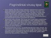 Kompiuterių virusai. Kas tai? 6 puslapis