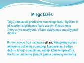 Miegas bei sapnai 4 puslapis