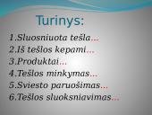 Sluoksniuota tešla 17 puslapis