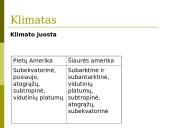 Šiaurės ir Pietų Amerikos palyginimas 8 puslapis