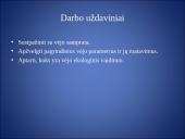 Vėjo matavimas 2 puslapis
