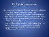 Vėjo matavimas 12 puslapis