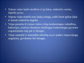 Vėjo matavimas 13 puslapis