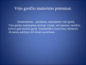 Vėjo matavimas 5 puslapis