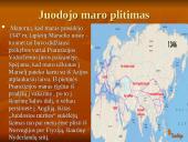 Viduramžių ligos, jų padariniai, masinės ligos, jų plitimas 11 puslapis