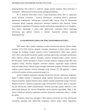 Informacinės visuomenės plėtra Lietuvoje 12 puslapis