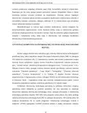 Informacinės visuomenės plėtra Lietuvoje 15 puslapis