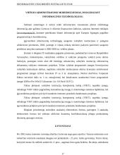 Informacinės visuomenės plėtra Lietuvoje 17 puslapis