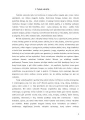 Platono tobulos valstybės modelis 4 puslapis