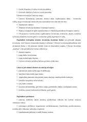 Užsienio investicijų Lietuvoje skatinimas ir apsauga 16 puslapis