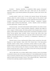 Užsienio investicijų Lietuvoje skatinimas ir apsauga 3 puslapis