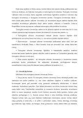 Užsienio investicijų Lietuvoje skatinimas ir apsauga 6 puslapis