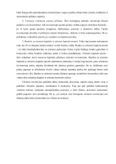 Užsienio investicijų Lietuvoje skatinimas ir apsauga 7 puslapis