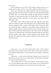 Valdymo procesų analizė organizacijoje 12 puslapis