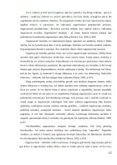 Valdymo procesų analizė organizacijoje 13 puslapis